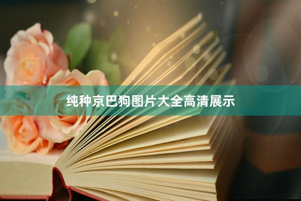 纯种京巴狗图片大全高清展示